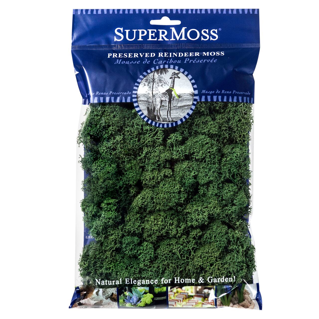 24 Pack: SuperMoss® Preserved Forest Reindeer Moss